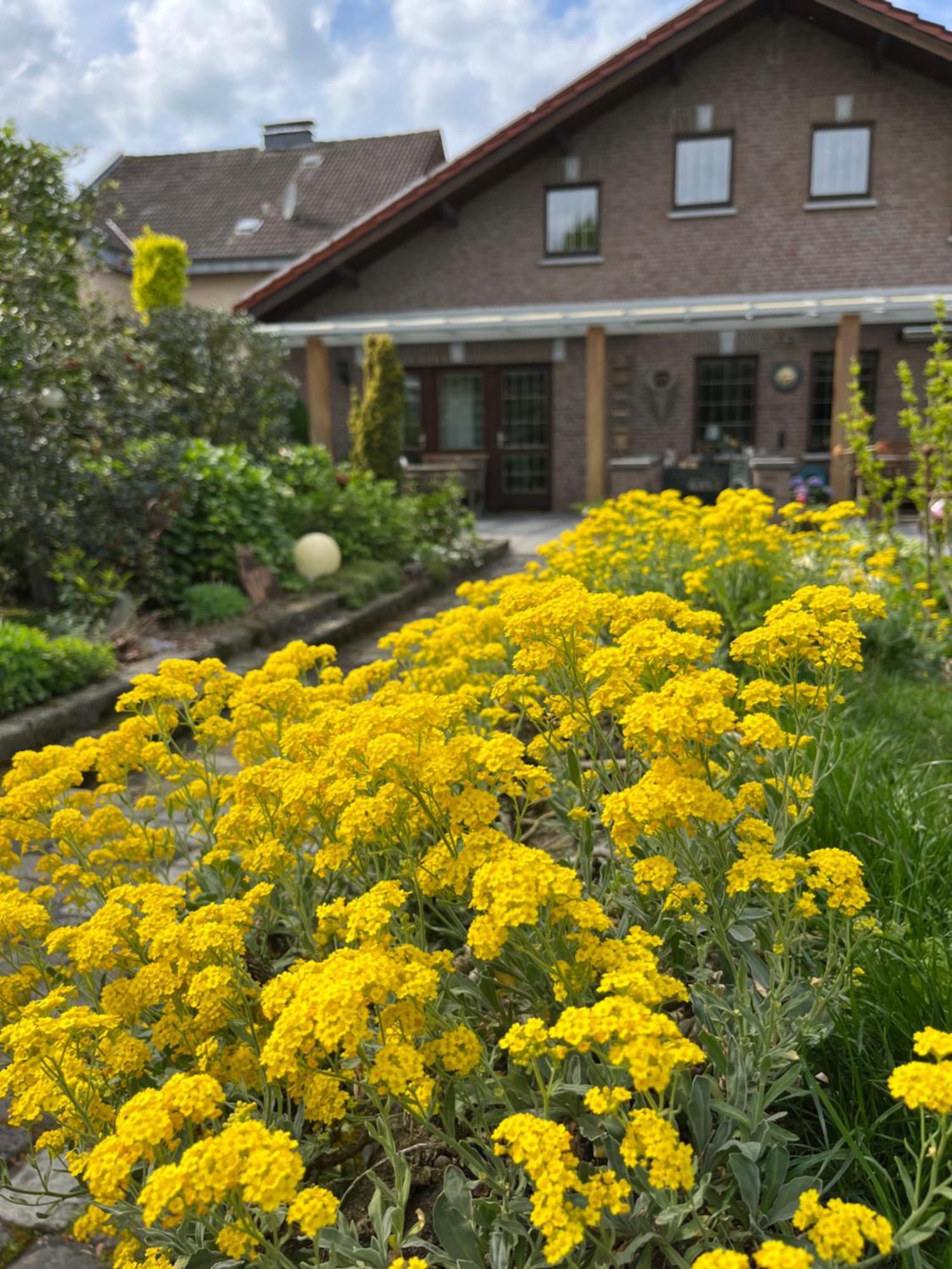 Ferienwohnung Jansen Selfkant المظهر الخارجي الصورة